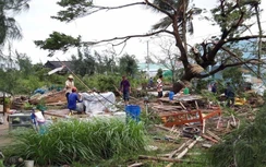 Lốc xoáy làm cây đổ đè 7 người bị thương ở Bạc Liêu