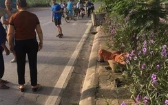 Hà Nội: Nữ lao công bị taxi đâm kịp ghi lại biển số xe trước khi tử vong