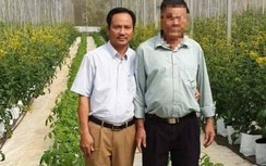 Sử dụng bằng giả, nguyên Chủ tịch UBND xã bị khởi tố, bắt giam