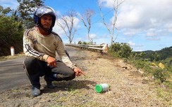 Chấm dứt hợp đồng cá nhân, tập thể dùng thuốc diệt cỏ trong giao thông