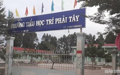 Hủy quyết định cắt hợp đồng cô giáo đang mang thai 3 tháng ở Cà Mau