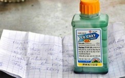 Nghi uống thuốc cỏ tự tử, vợ tử vong, chồng nguy kịch