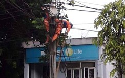 Công nhân điện lực tử vong trên cột điện: Điện lực Hòa Bình lên tiếng