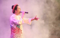 Nghệ sĩ Việt ủng hộ hơn 300 triệu đồng khắc phục cháy rừng ở Hà Tĩnh