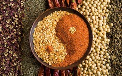 Bác sĩ nói gì về dùng thực dưỡng Ohsawa để điều trị ung thư?