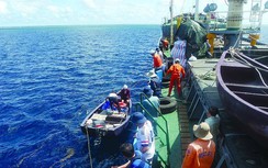 Nguy cơ thiếu hụt nghiêm trọng nhân lực hàng hải