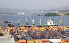 Hàng hải phê duyệt hơn 41 nghìn hồ sơ điện tử cho tàu biển