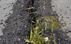 Sạt lở QL91 sẽ diễn ra nhanh nếu mưa kéo dài