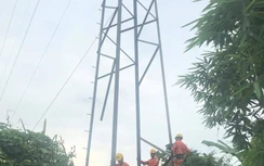 Kẻ gian táo tợn tháo trộm cấu kiện trên trụ điện đường dây cao thế