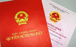 Một cán bộ lừa đảo hơn 11 tỷ đồng rồi đến công an xin... được bắt giam