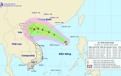 Bão số 3 sẽ giật cấp 11 "uy hiếp" Quảng Ninh - Nam Định?