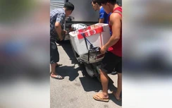 Video: Tài xế xe tải méo mặt vì bị "Ninja lead" tập kích từ phía sau