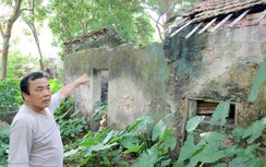 Bùi ngùi thăm nhà tác giả “Màu tím hoa sim”