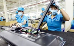 Sự thật và vu khống mong manh trên mạng