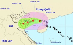 Cảng Hải Phòng tạm dừng khai thác cầu tàu ứng phó với bão số 3