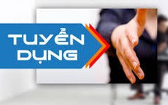 Thông báo tuyển dụng viên chức Trung tâm Công nghệ thông tin