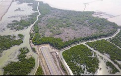 Được “mở cửa” dự án Cái Mép, Geleximco sắp tung “át chủ bài”