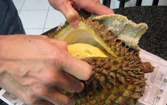 An ninh sân bay phát hiện gói hàng bí ẩn giấu trong 2 quả sầu riêng