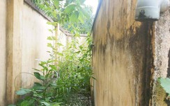 Công trình nước sạch tiền tỷ bỏ hoang, dân khát khô, phải mua nước bình