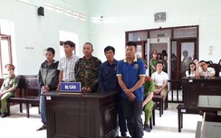 Cưa gỗ trắc chết khô: Tòa kết tội trộm cắp, luật sư đánh giá "phá rừng"