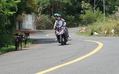 Hiến kế kiềm chế tai nạn giao thông đường lên bán đảo Sơn Trà