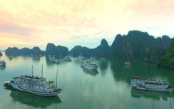 Xử nghiêm các dự án xâm phạm vịnh Hạ Long