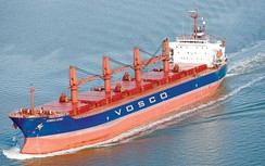 Nhiều “ông lớn” vận tải biển dần thoát lỗ