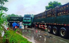 Hai xe đầu kéo đâm đối đầu trên QL48, dân phá cửa xe cứu tài xế