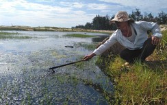 Công ty chăn nuôi xả thải gây ô nhiễm, dân thiệt hại tiền tỷ