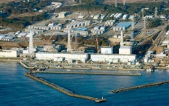 Hàn Quốc yêu cầu Nhật giải thích việc xả nước thải nhà máy điện hạt nhân