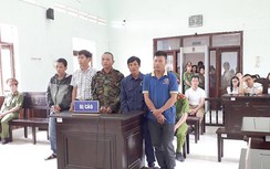 Tranh cãi việc xử tù nhóm cưa một cây gỗ khô trong rừng