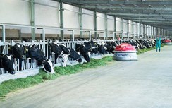 Vinamilk “phủ sóng” nhiều các bảng xếp hạng uy tín trong và ngoài nước