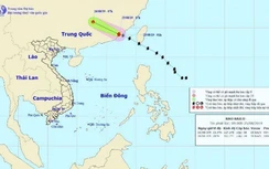 Thời tiết ngày 25/8: Bão Bailu đổ bộ vào Phúc Kiến, Trung Quốc