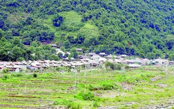 Xanh ngắt Mường La sau trận lũ cuốn trôi cả làng