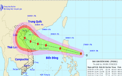 Kiểm soát chặt tàu thuyền trước khi ra khơi, ứng phó bão Podul