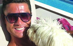 Vì sao các siêu sao bóng đá mê nuôi chó cưng?