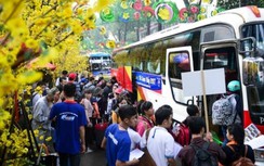 Phương án nghỉ Tết Canh Tý 2020: Hụt hẫng với đề xuất của Bộ LĐTB&XH