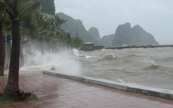 Bão số 4: Quảng Ninh tạm ngừng cấp phép tàu ra khơi