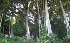 Tin mới vụ thợ câu tử vong khi cứu nhóm du khách đi lạc ở Sơn Trà