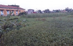 Hải Phòng: Đấu giá đất kiểu “bán vịt trời”, lừa dân, dối thành phố