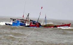Khẩn trương ứng phó áp thấp nhiệt đới gần Biển Đông