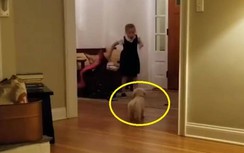 Hơn 58 triệu lượt người xem video phản ứng của trẻ em khi được nhận chó