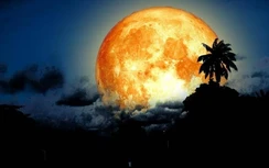 Báo Anh: Trung Quốc tìm thấy vật chất lạ ở "phía sau" mặt Trăng