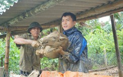 Trời tiếp tục mưa to, người dân Hà Tĩnh hối hả chạy lũ