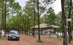 Quảng Ninh: Thanh tra việc xâm chiếm đất rừng sản xuất, lòng hồ Yên Trung