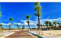 Chưa xong thủ tục, đất nền dự án Nhơn Hội New City đã rao bán rầm rộ