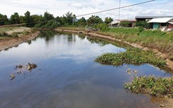 Đi tìm dấu vết cá sấu trên sông ở Hà Tĩnh