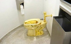 Bồn cầu bằng vàng trị giá hơn 1,8 triệu USD ở Điện Blenheim bị mất trộm