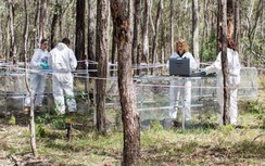 Thông tin gây sốc: Xác người có thể chuyển động sau khi chết