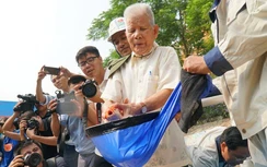 Cận cảnh cá chép Nhật Bản tung tăng bơi lội đoạn sông Tô Lịch đã làm sạch